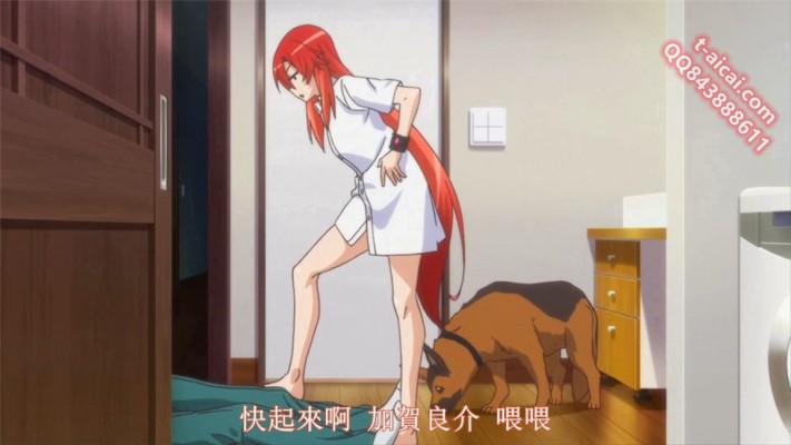 114113k1gg4f3c1l87fxlw.jpg 114113k1gg4f3c1l87fxlw.jpg