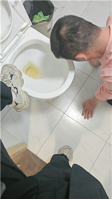 dy_20250107193941.JPG