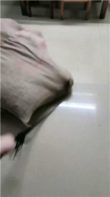 2509292040_20250929205008.JPG