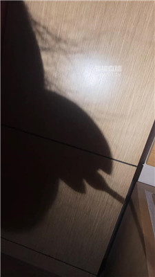 2510010840_20251001094213.JPG