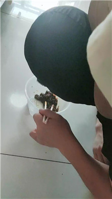 2510031803_20251003180724.JPG