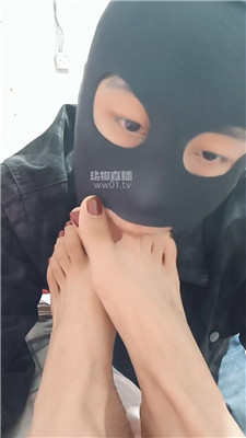 【小鱼祖宗】2534