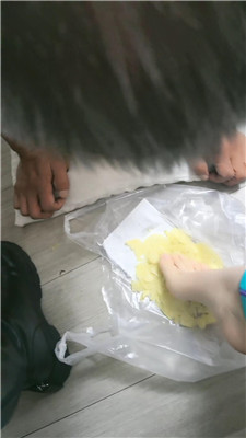 2510261646_20251026165831.JPG