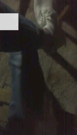 【调教视频】【芷晴女s】小白鞋棉袜户外遛狗