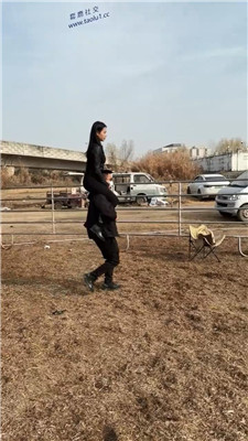 【爱丝大大】1853