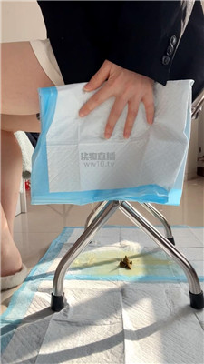 【乐乐】赏赐贱狗黄金圣水厕纸    260201-9BP